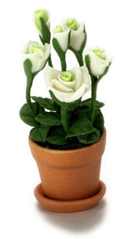 Dollhouse Miniature White Rose Pot
